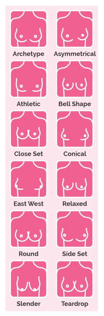 Breast Shapes and Sizes